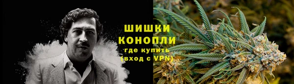 стафф Зеленокумск