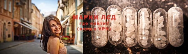 стафф Зеленокумск