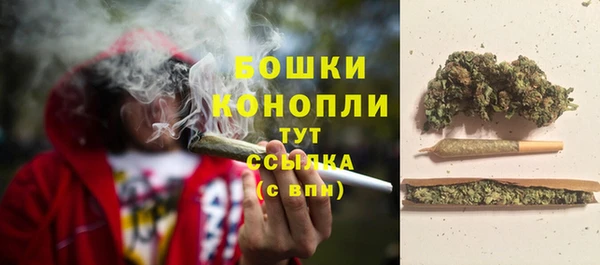 стафф Зеленокумск