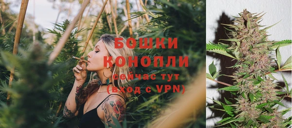 стафф Зеленокумск