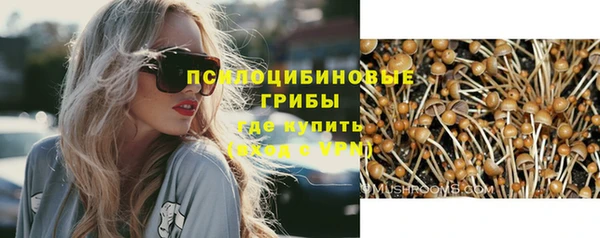 гидропоника Зеленодольск