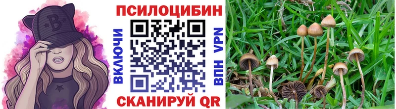 Галлюциногенные грибы Psilocybine cubensis  Купить где  Галич 